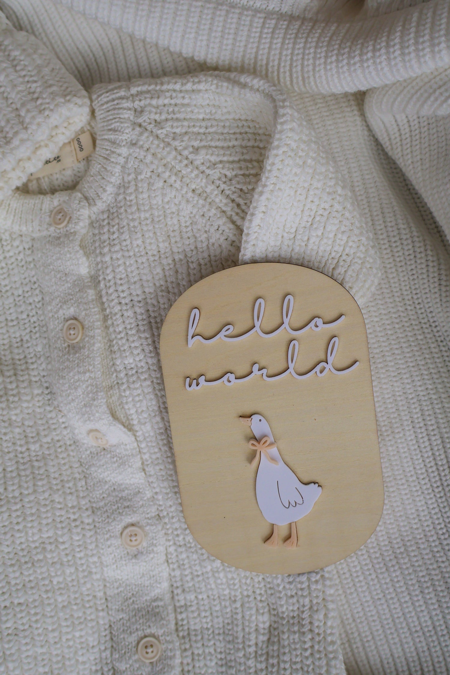 BIRTH ANNOUNCEMENT PLAQUES