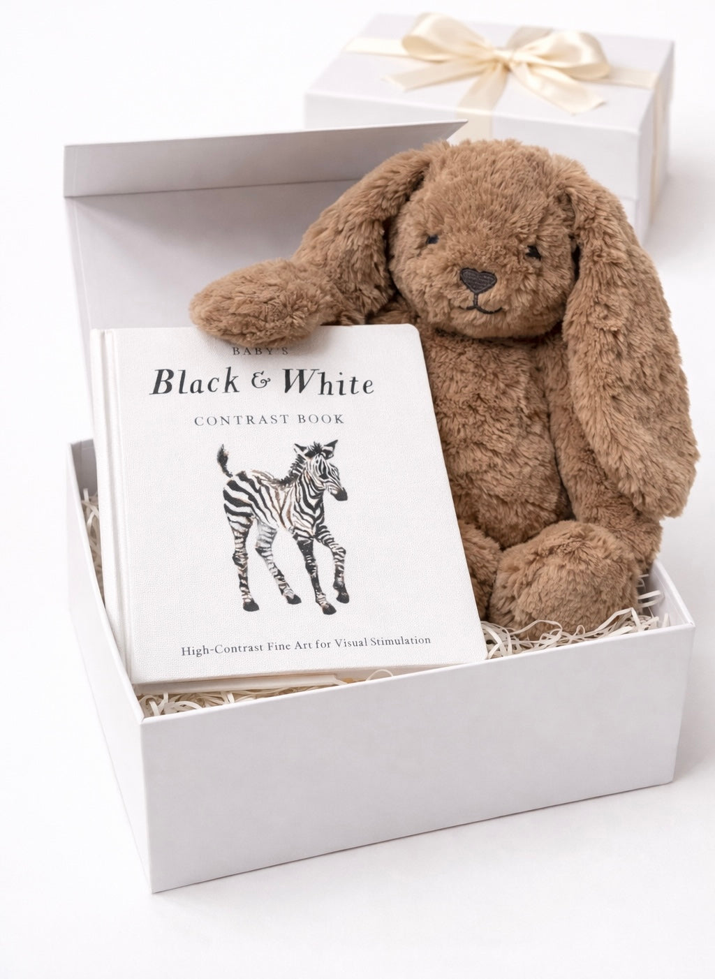 MY FIRST BUNNY AND BOOK