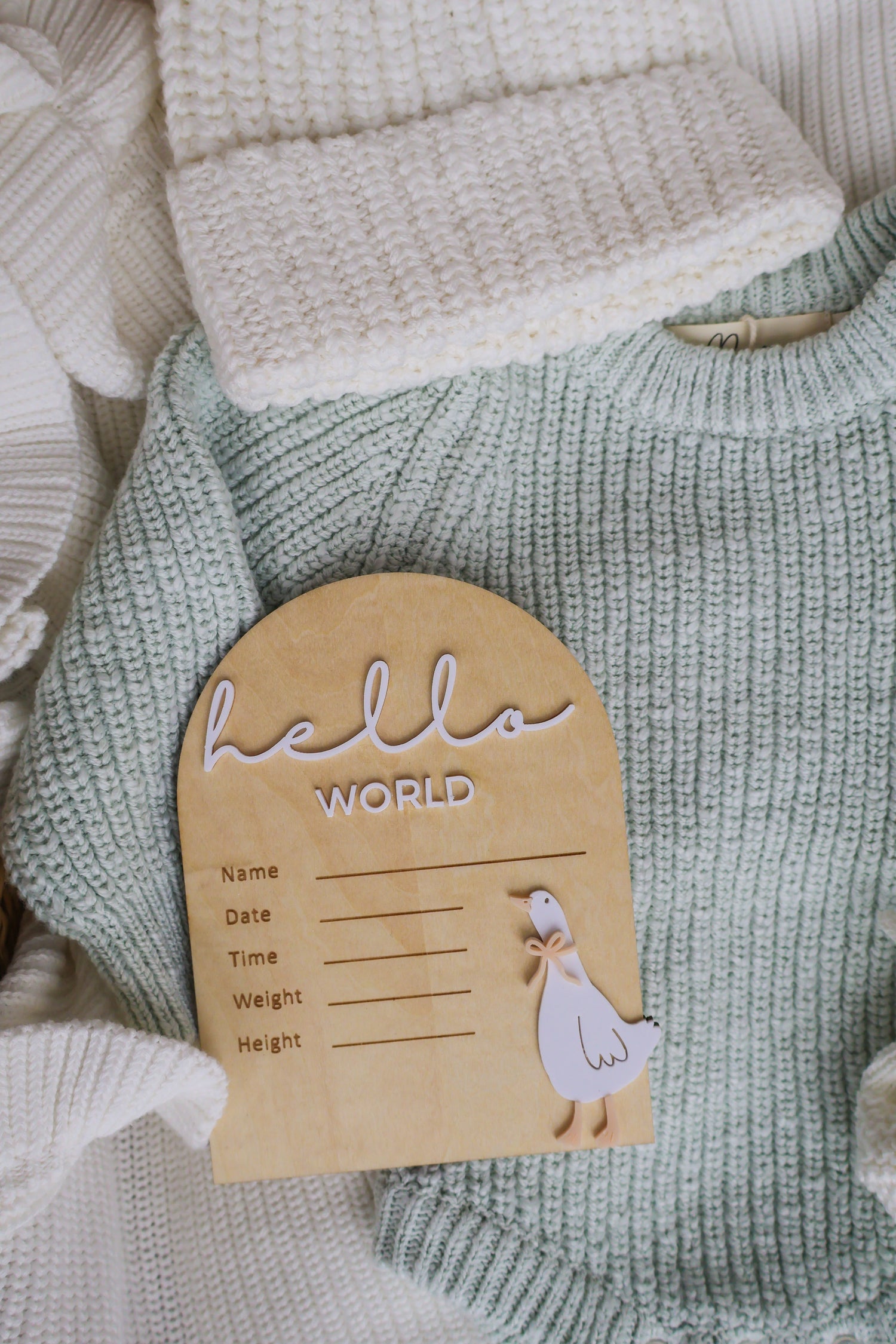 HELLO WORLD | WRITEABLE | GOOSE