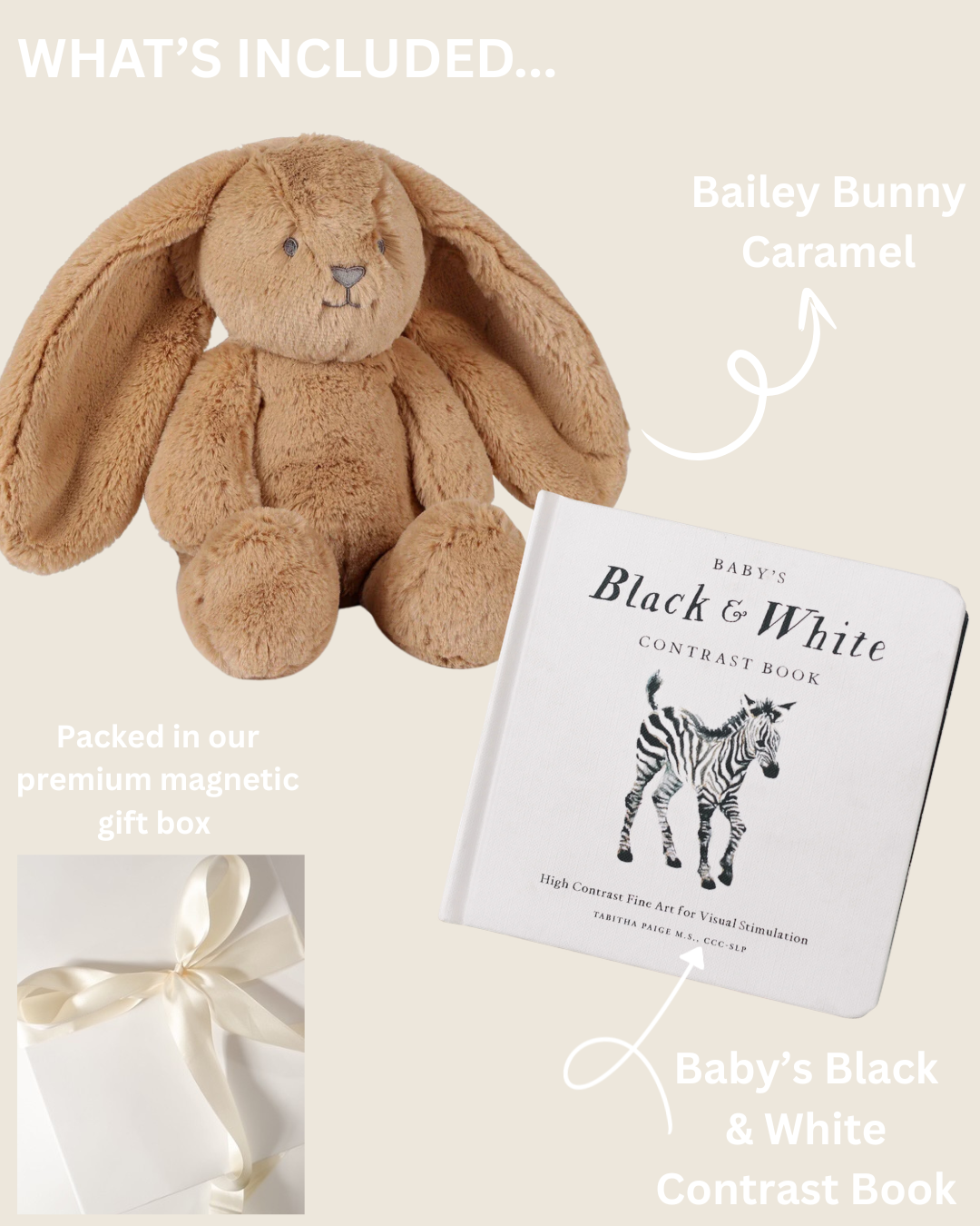 MY FIRST BUNNY AND BOOK