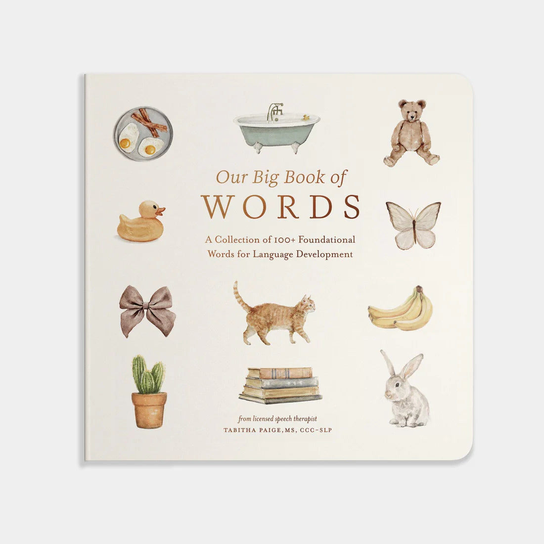 OUR BIG BOOK OF FIRST WORDS