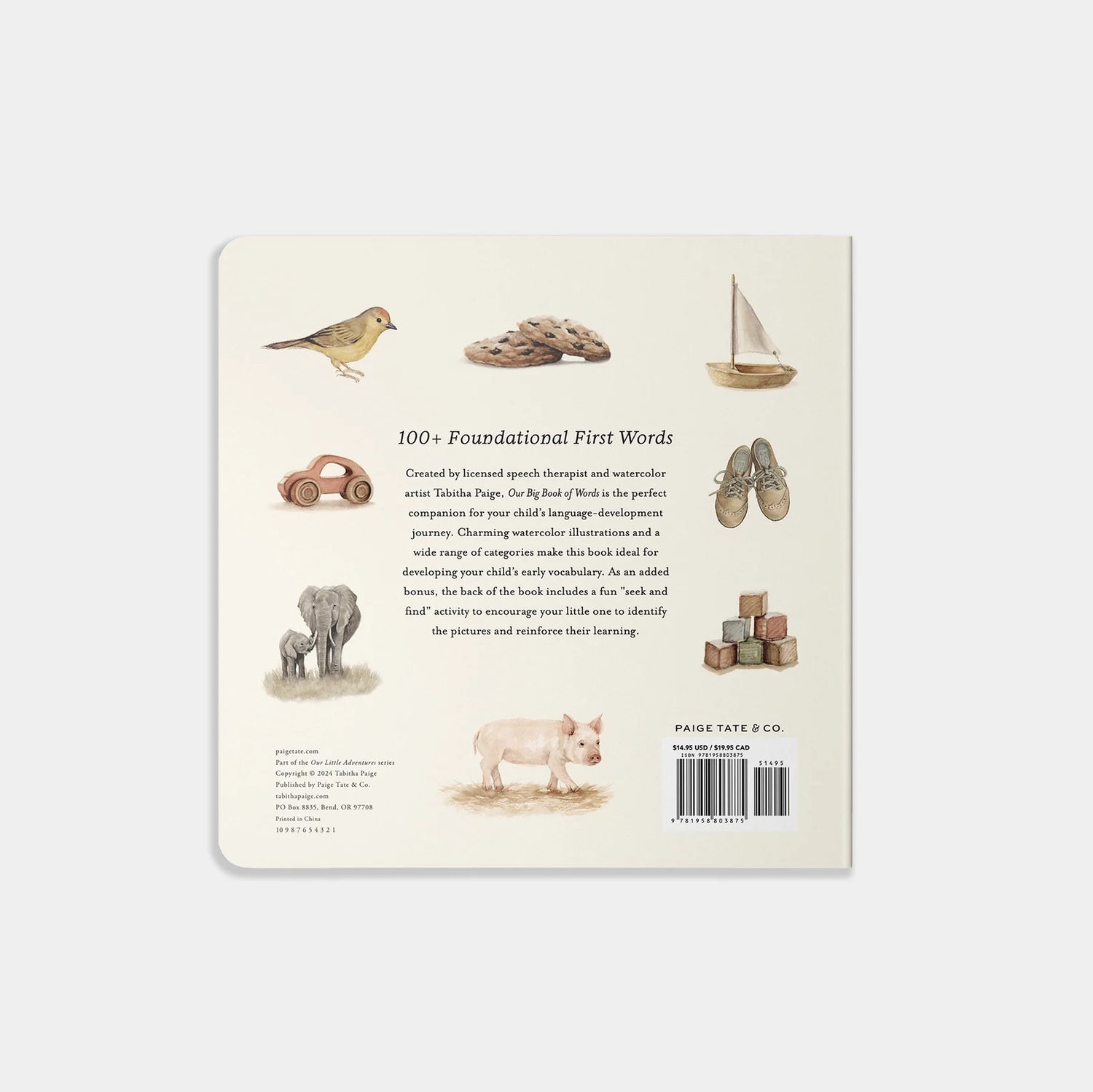 OUR BIG BOOK OF FIRST WORDS