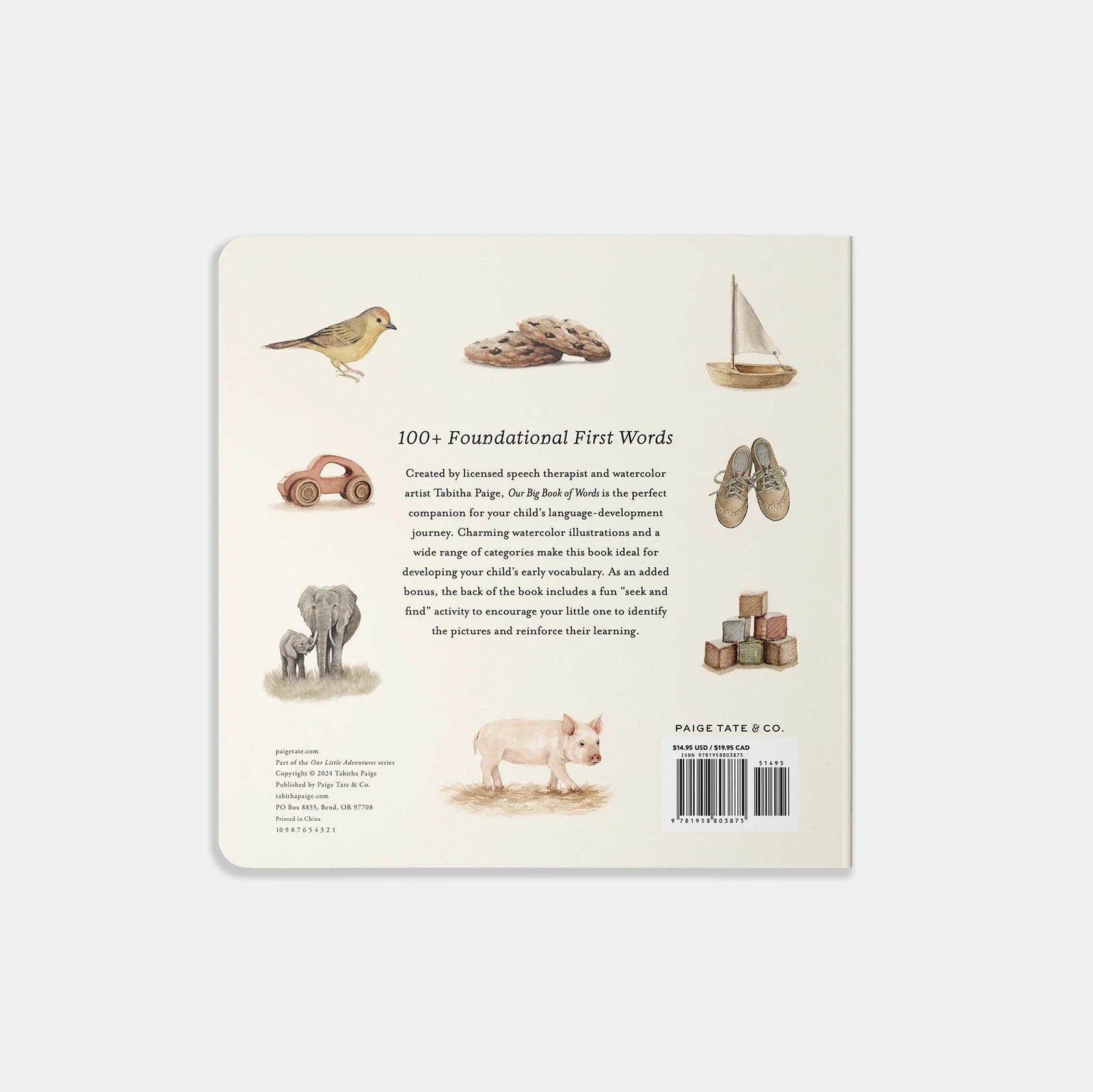 OUR BIG BOOK OF FIRST WORDS