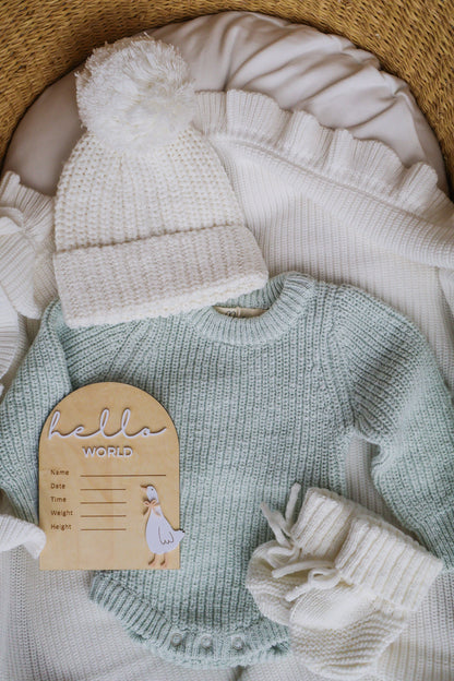 HELLO WORLD | WRITEABLE | GOOSE