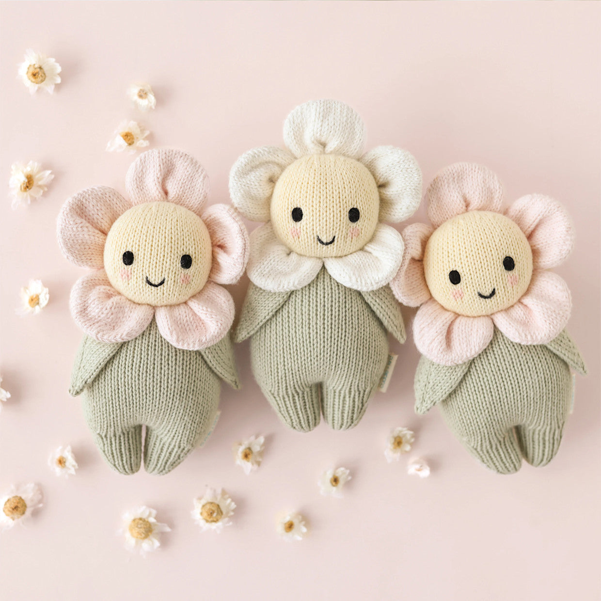 BABY DAISY | IVORY